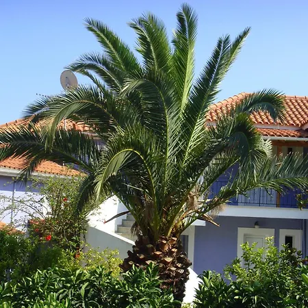 Villa Eliza-2